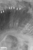 PIA05858: Alcoves in a Xanthe Crater