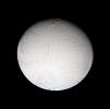 PIA06187: False Color Look at Enceladus