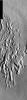 PIA07068: Arsia Mons Collapse Pits in IR