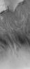 PIA07128: Noachis Pit Crater Gullies