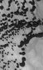 PIA07350: Chasma Boreale Dunes