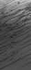 PIA07507: Dunes of the North