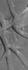PIA08106: Mars Maze
