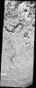 PIA08383: Speckled Surface