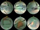 PIA09035: Infrared and Radar Views of Titan