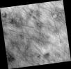 PIA09548: Dust Devil Tracks in Northern Plains