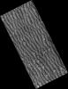 PIA09629: Dunes and Polygons in Olympia Undae