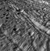 PIA10351: Ancient Cratered Terrains on Enceladus - A Complex Deformation History