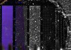 PIA10795: Microscopic View of Soil on a Micromachined Silicone Substrate