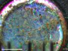PIA10797: Microscopic Image of Martian Surface Material on a Silicone Substrate