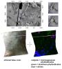 PIA10949: Olivine, Phyllosilicates, and Ancient Crater Rims