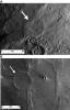 PIA11025: Wrinkle-Ridge Rings on Mercury and Mars