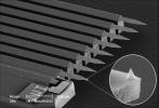 PIA11041: Sharp Tips on the Atomic Force Microscope