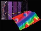 PIA11042: Images from Phoenix's MECA Instruments