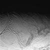 PIA11122: Enceladus Oct. 9, 2008 Flyby - Posted Image #4