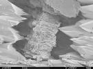 PIA11207: Terrestrial Clay under Microscope
