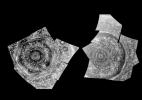 PIA11216: Infrared Images of Saturn's Poles