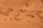 PIA11238: Rectangles with Wiggly Sides