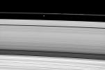 PIA11614: Shadow on a Thin Ring