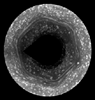 PIA11682: Spring Reveals Saturn's Hexagon Jet Stream