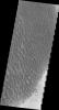 PIA11956: Proctor Crater
