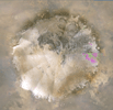 PIA11988: Weather Movie, Mars South Polar Region, March-April 2009 (Close-up View)