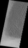 PIA12309: Proctor Crater Dunes (VIS)
