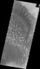 PIA12314: Russell Crater Dunes (VIS)