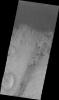 PIA12325: Aonia Terra Dunes (VIS)