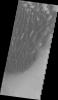 PIA12341: Kaiser Crater Dunes (VIS)