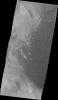 PIA12343: Rabe Crater Dunes (VIS)