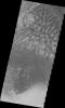 PIA12360: Russell Crater Dunes (VIS)