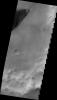 PIA12383: Dunes in Noachis Terra
