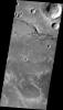PIA12396: Nirgal Vallis