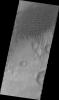 PIA12401: Dunes Northeast of Douglass Crater