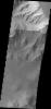 PIA12445: Several Landslides on Coprates Chasma