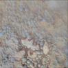 PIA12970: Coating on Rock Beside a Young Martian Crater