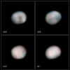 PIA13428: The Faces of Vesta