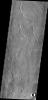 PIA13527: Elysium Planitia