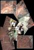 PIA13543: Soil Disturbed by Spirit Drives Before Fourth Martian Winter (False Color)