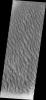 PIA13916: Proctor Crater Dunes