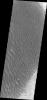 PIA14145: Proctor Crater Dunes