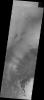 PIA14283: Brashear Crater Dunes