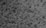PIA14451: Lace on Mars