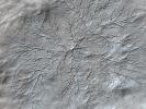 PIA14459: Erosion Features near the South Pole of Mars