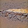 PIA14540: Rock 'Tisdale 2' on Endeavour Crater Rim (False Color)