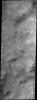 PIA14563: Dust Devil Tracks