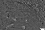 PIA14671: Bright and Dark Material on Vesta's Surface