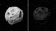 PIA14736: Portrait of Two Asteroids in Different Light