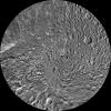 PIA14927: Mimas Polar Maps - June 2012